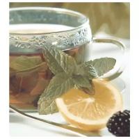 Панно Ceradim Dec Tea Panno КПН16Tea 50х45