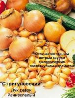 Лук севок "Стригуновский" 400 гр