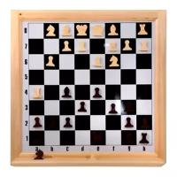 Шахматы настенные демонстрационные (Орлов)