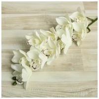 Цветы искусственные "Орхидея амабилис" 90 см, белый 2337941
