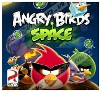Angry Birds Space Jewel (PC) английский язык