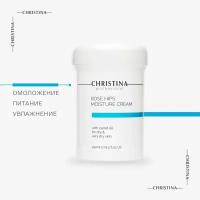 Christina Rose Hips Moisture Cream With Carrot Oil For Dry And Very Dry Skin Увлажняющий крем с маслом моркови для сухой и очень сухой кожи Шиповник для лица, 250 мл