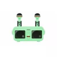 OWL SDRD SD-304 (Green) - детская блютус-караоке система с двумя перезаряжаемыми радиомикрофонами, Bluetooth