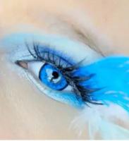 Цветные контактные линзы ALEX LINZA (EOS), 209LB-Blue, / 14.2 / 8,7, 2шт
