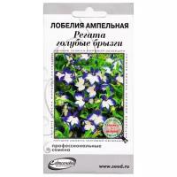 "Лобелия ампельная Регата, голубые брызги, 10 семян"