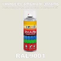 Универсальная аэрозольная эмаль, глянцевая, RAL 9001