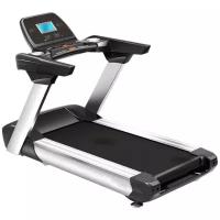 Электрическая беговая дорожка American Motion Fitness 8900T