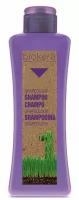 Профессиональный шампунь c маслом виноградной косточки Salerm Shampoo grapeology от Biokera, 300 мл