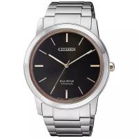 Японские наручные часы Citizen AW2024-81E