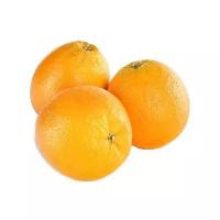 METRO Chef Апельсины