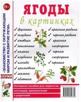 Ягоды в картинках. Наглядное пособие для педагогов, воспитатателей, логопедов, родителей (Гном)