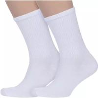 Комплект из 2 пар мужских носков PARA socks 2-M2D26, размер 25-27