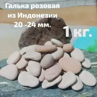 Галька розовая из Индонезии фракция 20-24 мм 1 кг. Декоративные камни. Камни для аквариума, террариума