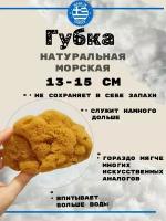 Губка морская натуральная Honeycomb 13-15 см