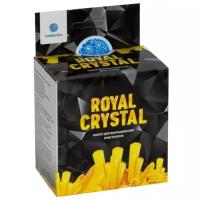 Научно-познавательный набор для проведения опытов "Royal Crystal"