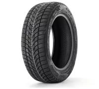 Rapid bluesnow 205/55 r 16 91 v зима нешипованная