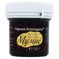 Мумиё алтайское очищенное Горная благодать, 10 г. При травмах, переломах, артритах, артрозах, псориазе, акне, фурункулах