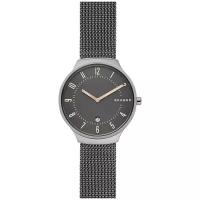 Мужские наручные часы Skagen SKW6460