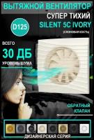 Бытовой вентилятор осевой DiCiTi SILENT 5C Ivory 125