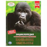 Павлинов И.Я. "Энциклопедия с развивающими заданиями. Большие обезьяны"