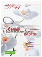 Набор белого картона, HOBBY TIME № 41, А4 (205 х 295 мм), 20 листов, "высококачественный", Арт. 11-420-109