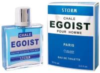 POSITIVE PARFUM Chale Egoist Storm Дезодорант парфюмированный men 90 мл