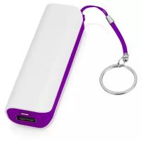 Аккумулятор Oasis Basis 2000 mAh, фиолетовый