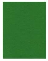 Лист фетра, темно-зеленый, 30 х 45 см х 3 мм EFCO 30 х 45 см* 1200769