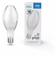 Светодиодная лампа Gauss Basic BT100 AC180-240V 30W 2950lm 6500K E40 LED 1/20