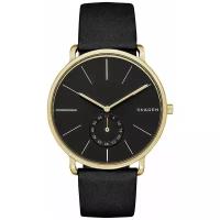 Наручные часы SKAGEN SKW6217