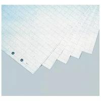 Бумага для флипчарта "Magnetoplan", в клетку, цвет: белый, 65 см x 98 см, 100 листов