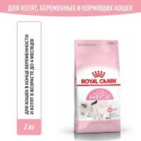 Сухой корм Royal Canin MOTHER AND BABYCAT (мазер ЭНД бебикэт) Питание для котят в возрасте с 1 до 4 месяцев, а также беременных и лактирующих кошек 2 кг