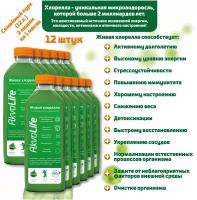 Живая хлорелла курс detox