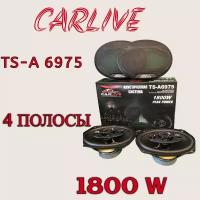 Автомобильная акустика Carlive TS-A6975 6x9" Автомобильные Динамики Овальные (2 Коаксиальных Динамика)