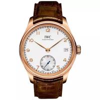 Наручные часы IWC IW510204