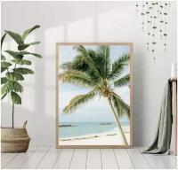 Постер без рамки "Пальма на пляже" 30*40 в тубусе / Картина для интерьера / Плакат / Постер на стену / Интерьерные картины