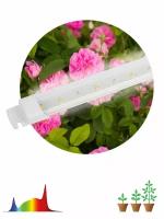 Светильник для растений линейный ЭРА FITO-10W-Т5-Ra90-Slim фитолампа светодиодная полного спектра 10 Вт Т5