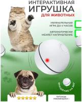 Интерактивная игрушка для кошек/шар для животных USB/мяч для кошки/PetLeon/дразнилка котятам/собаке белый