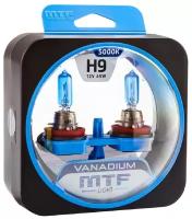 Автолампы H9 - Галогенные лампы MTF Light серия VANADIUM 5000K