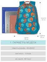 Школьные рюкзаки для девочек 5-11 класс: практичные и анатомически правильные RD-041-3/2