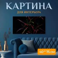 Картина на холсте "Кротон, завод, темный" на подрамнике 75х40 см. для интерьера