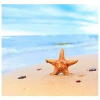 Постер на холсте Морская звезда на берегу океана (Starfish on the beach) 63см. x 60см