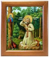 Преподобный Серафим Саровский на камне, икона в широкой рамке 19*22,5 см
