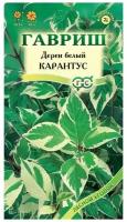 Семена Дерен белый Карантус 0,1 г (Гавриш)