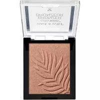 Wet n Wild Бронзирующая пудра для лица Color Icon Bronzer, Тон palm beach ready, 11 г