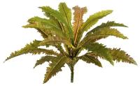 Искусственное растение "Асплениум Криспи Вэйв куст" 40 см, цвет: желто-зеленый