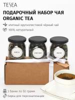 TESEA Чай черный листовой "Organic Tea", с добавками, с ягодами