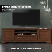 БРВ-Мебель Стилиус Тумба под телевизор RTV2D1S