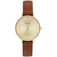 Наручные часы SKAGEN SKW2147