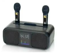 REXUS SD-318 Dark Blue - беспроводная караоке система, 2 радиомикрофона, USB, Bluetooth, оптический вход